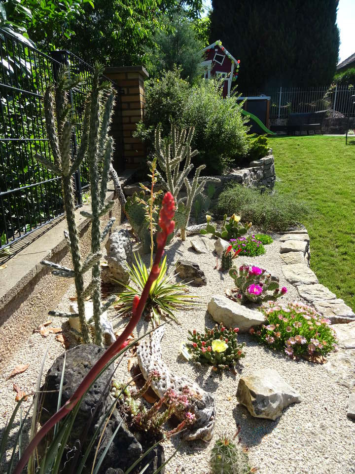 Gartengestaltung in der Nähe von Fürth: Steingarten mit Succulenten, dahinter Rasen