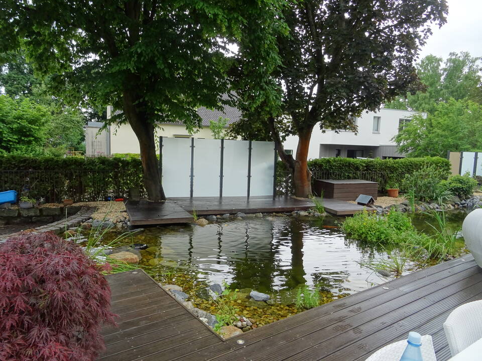 Weißer Garten-Sichtschutz zwischen zwei Bäumen ergänzt eine Hecke vor einem Gartenteich.