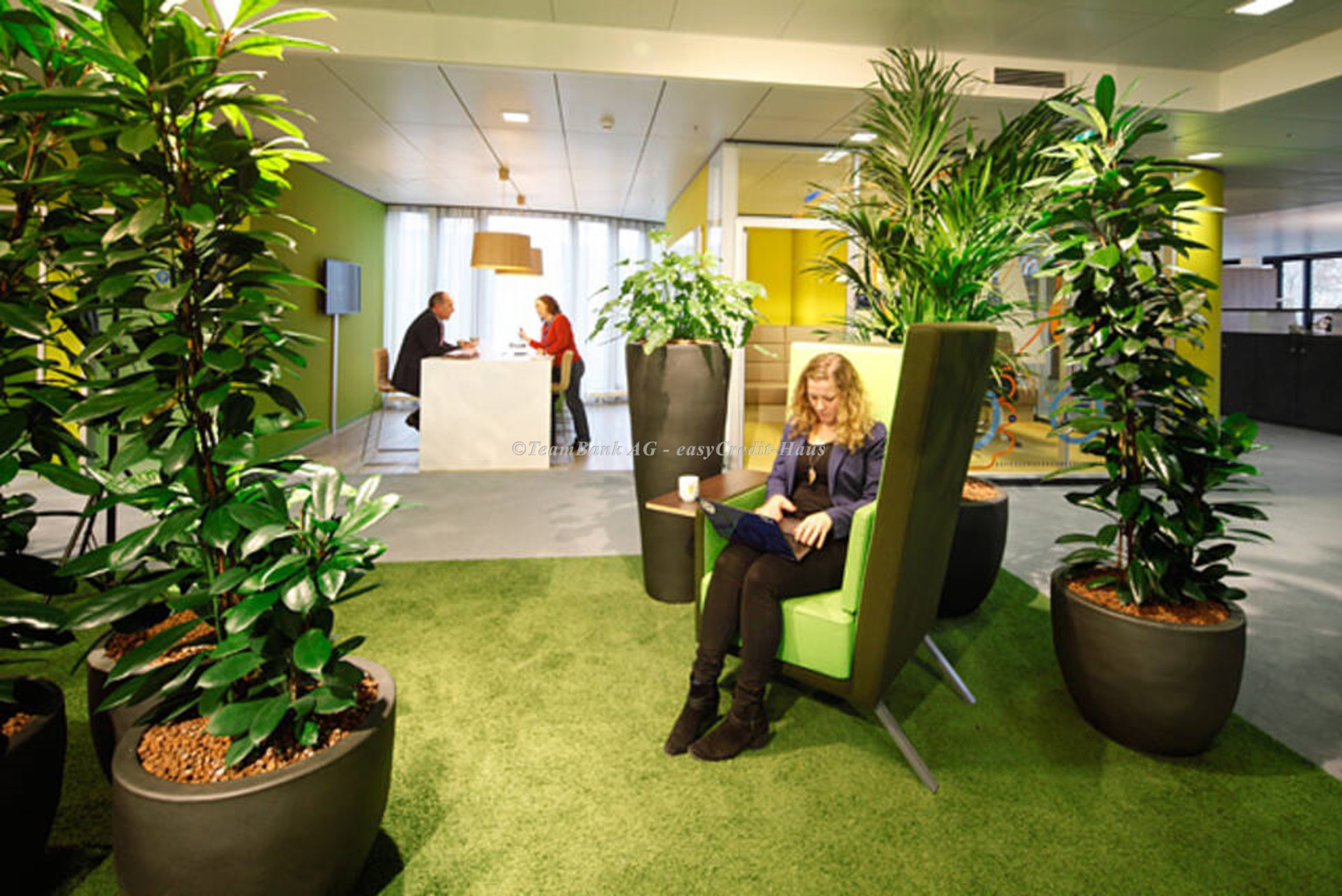 Innenraumbegrünung: Büropflanzen bei EasyCredit bzw. Teambank. Hier mit Lounge-Sessel und Pausenraum.
