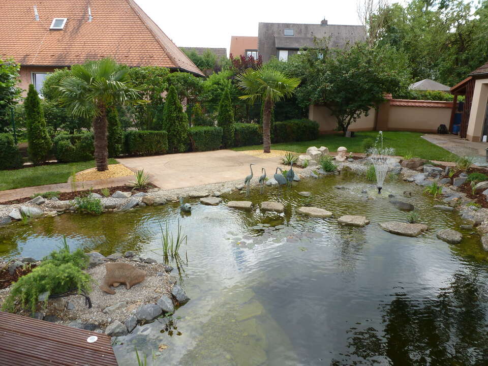 Gartenteich mit Springbrunnen und Palmen in Schwanstetten (Ortsteil Leerstetten): Gartenbau Bodin