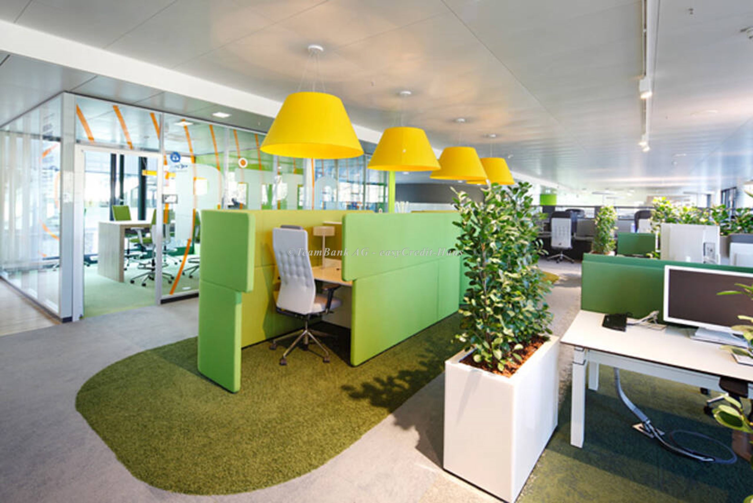 Büropflanzen trennen offene Büroflächen von Bürozellen (