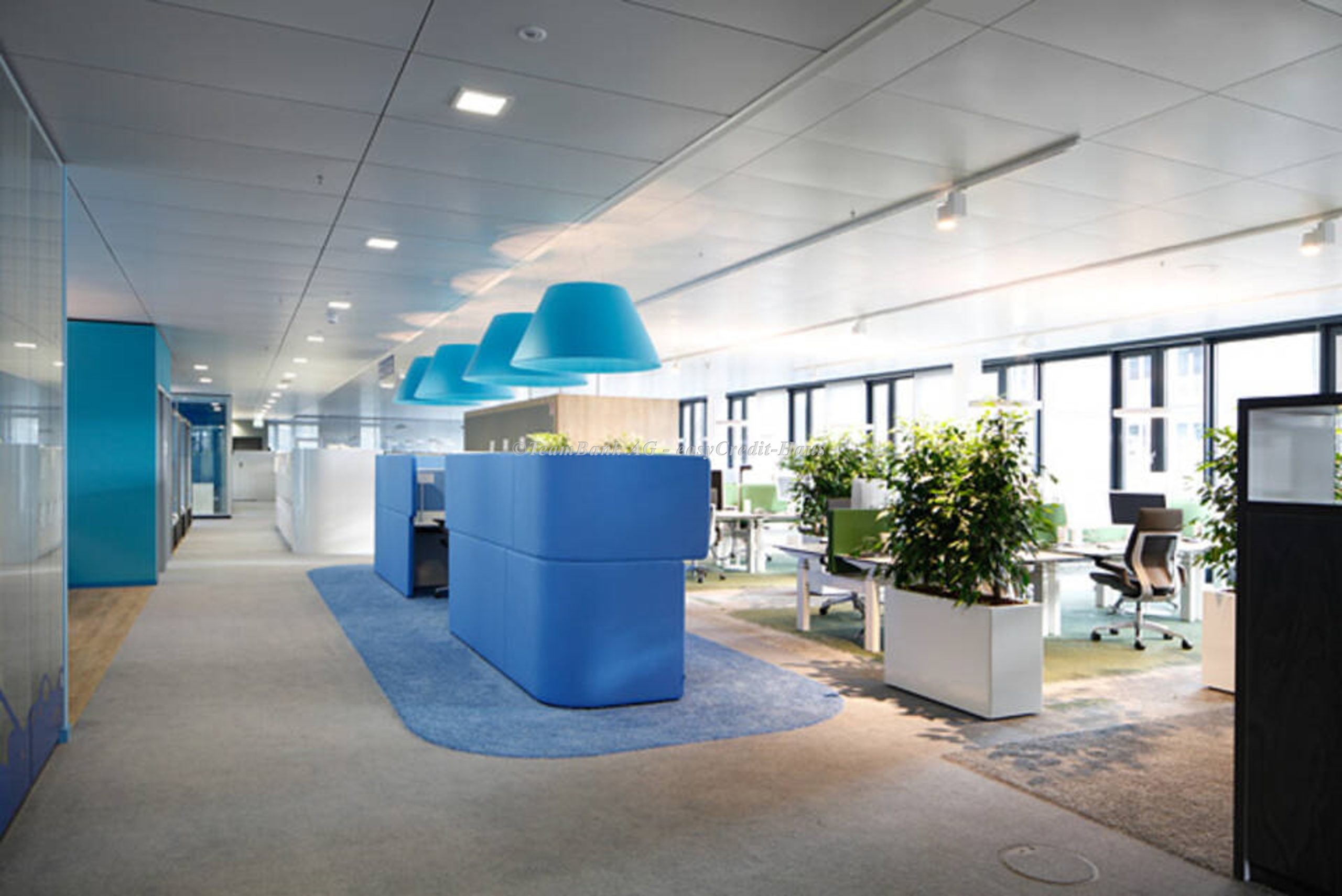 Teambank-Bürodesign in Nürnberg: Blaue Cubicles und Schreibtischgruppen mit je 4 Plätzen. Dazwischen Büropflanzen von Bodin.