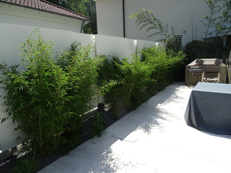Weißer Sichtschutz mit Bambus davor neben einer Terrasse in Nürnberg.