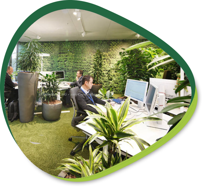 Bürobegrünung bei der Teambank in Nürnberg mit Pflanzen in unterschiedlichen Töpfen, grünem Teppich und Blätter-Tapete, umgesetzt durch die Objektbegrünungs-Spezialisten von Bodin