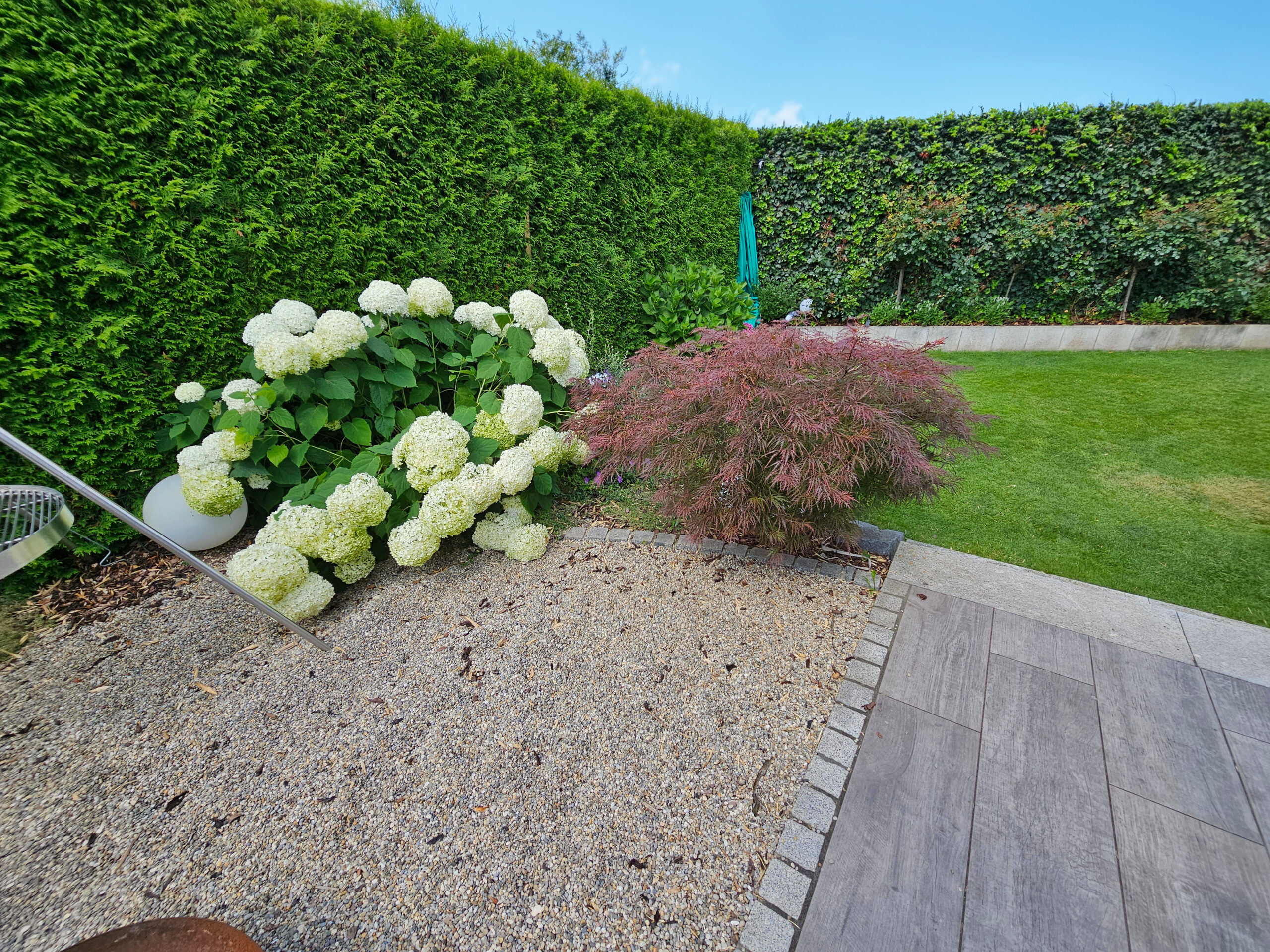 Bisher neben der Terrasse: Schotterbeet und Rasen, umrahmt von einer Hecke. (Vorher-Bild).